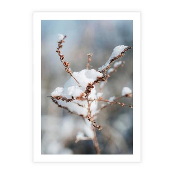 Plakat bez ramy 21x30 - Zimowy Urok Natury - gałązki pod śniegiem, natura