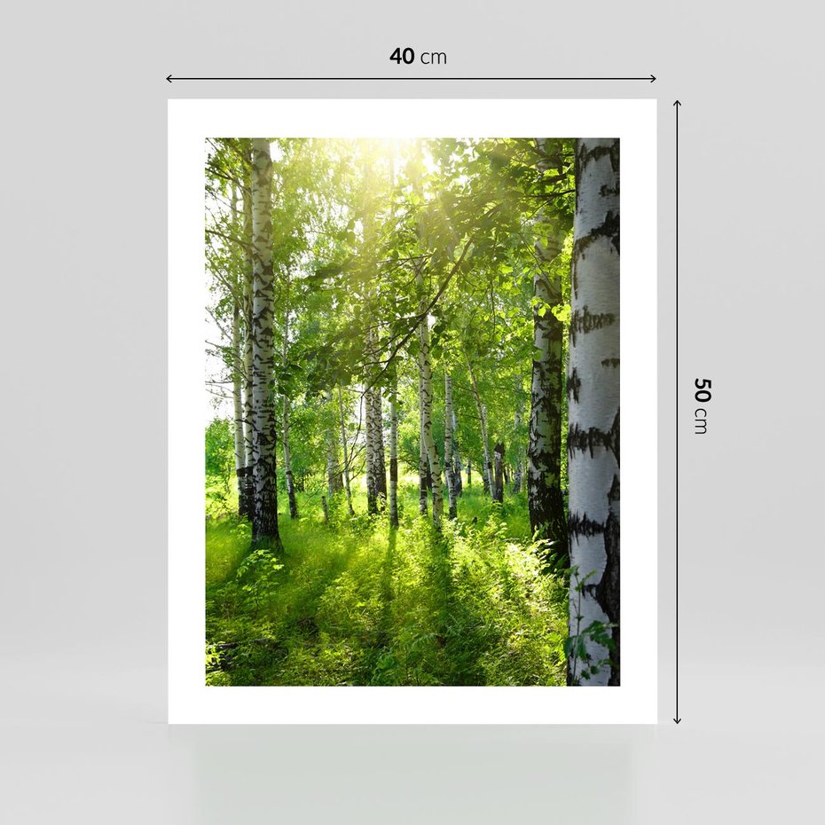 Plakat bez ramy 40x50 - Lasowa Księżycowa Noc - las, drzewa