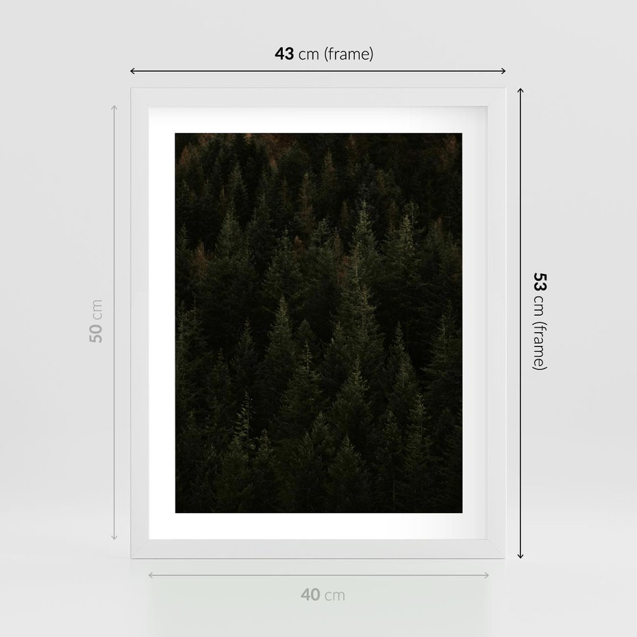 Plakat w ramie 40x50 - Ciemny las iglasty - las, iglasty - rama biała