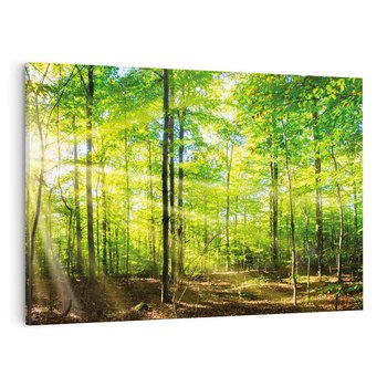 Obraz na płótnie 70x50 - Drzewa w harmonii - las, drzewa