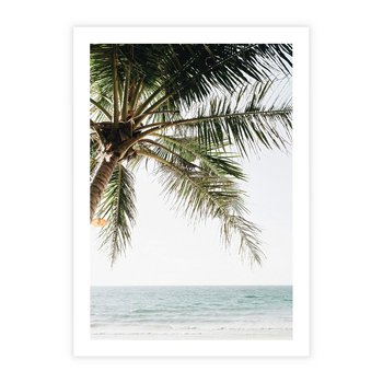 Plakat bez ramy 50x70 - Wakacyjne Marzenie - palma nad morzem,
