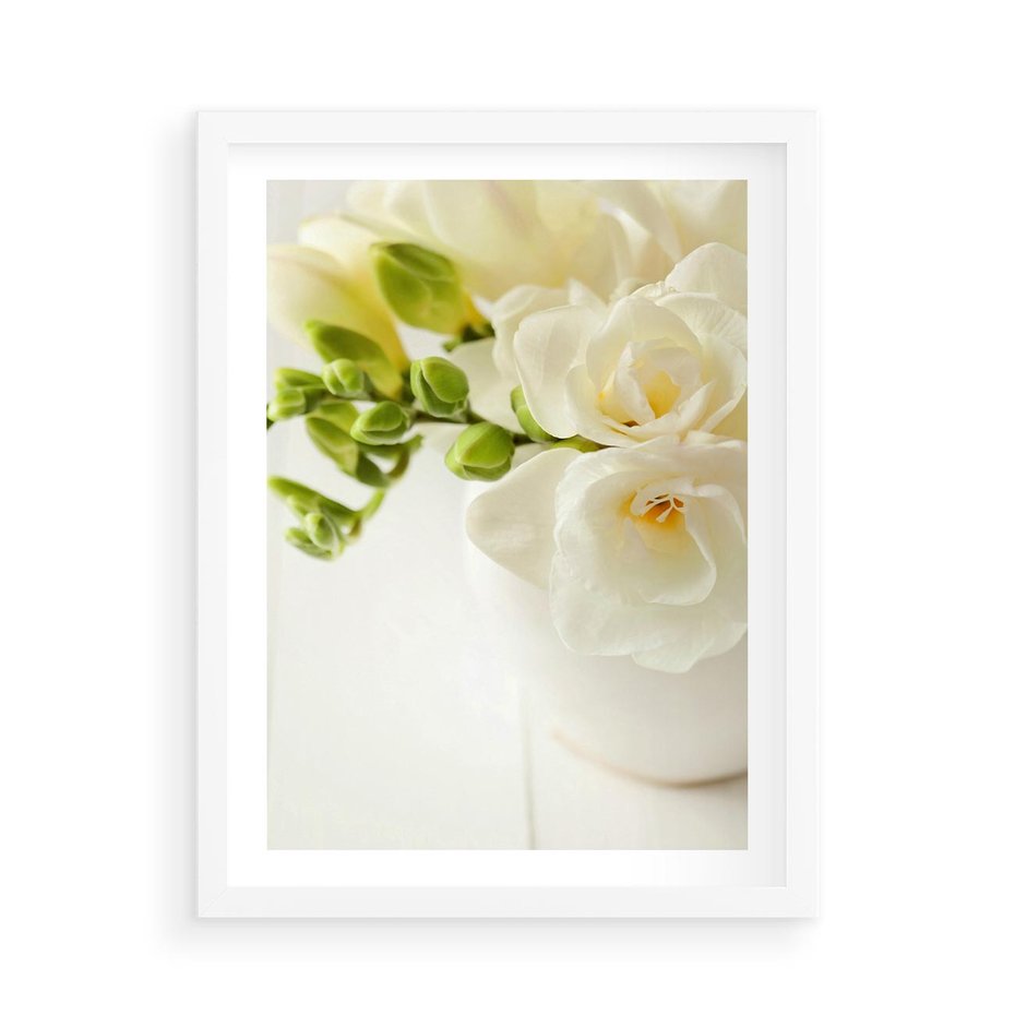 Plakat w ramie 50x70 - Subtelność białych frezji - frezja, białe - rama biała