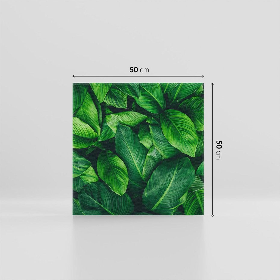 Obraz na płótnie 50x50 - Palma Liście Kwiat - palma, liście