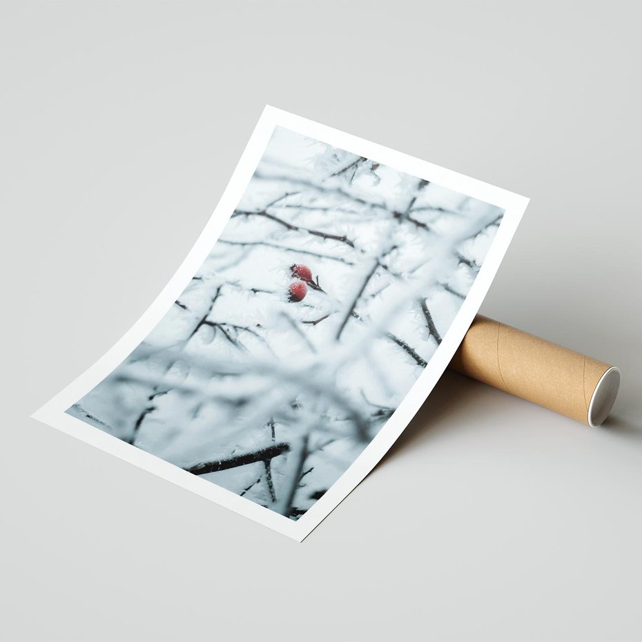 Plakat bez ramy 30x40 - Zima w Detalu: Gałęzie ze Szronem i Śniegiem - śnieg, zima