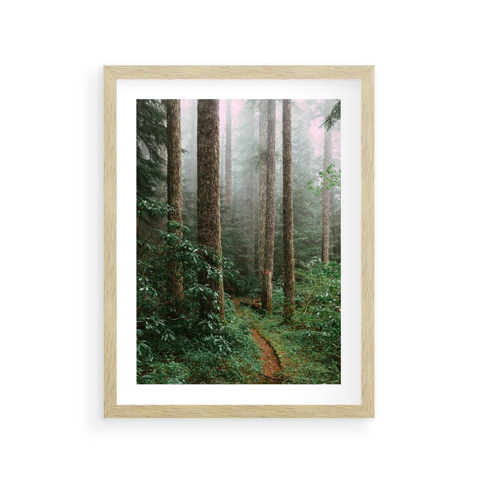 Plakat w ramie 30x40 - Mgliste Marzenia - artystyczna fotografia, las - rama drewno