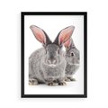 Plakat w ramie 50x70 - Uroczy królik wśród natury - królik, zając - rama czarna