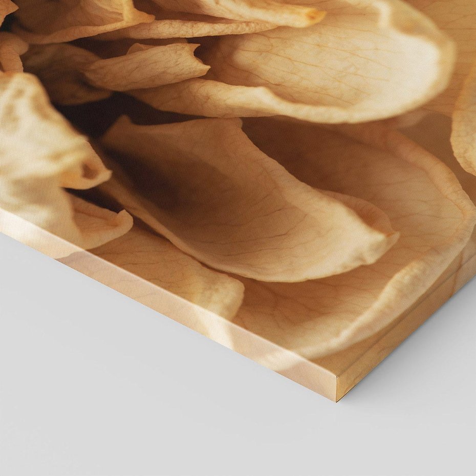 Obraz na płótnie 80x120 - Zjawiskowe zasuszone kwiaty - zasuszone, kwiaty