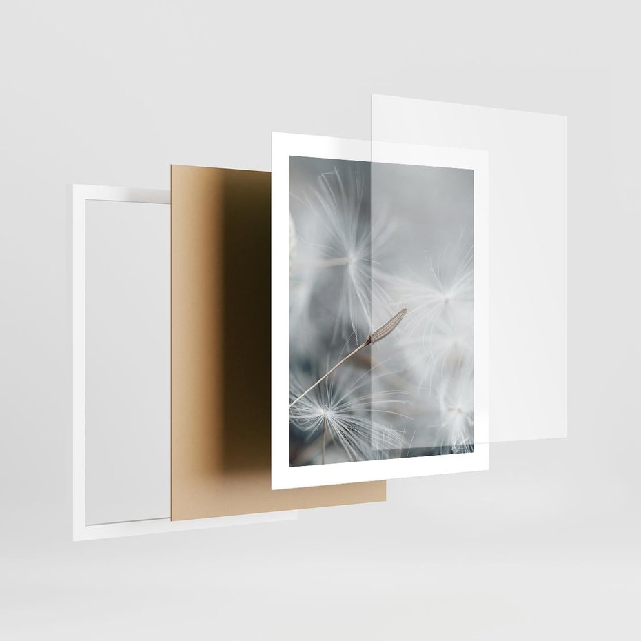 Plakat w ramie 40x50 - Piękno w Delikatności - dmuchawiec, makro zdjęcie - rama biała