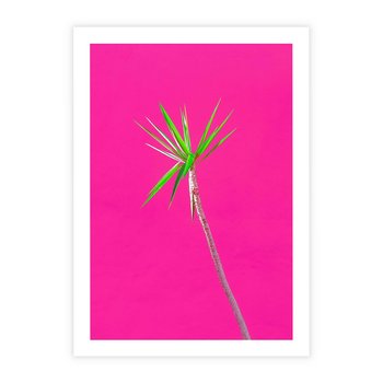 Plakat bez ramy 50x70 - Retro Stylizacja - palma, liście