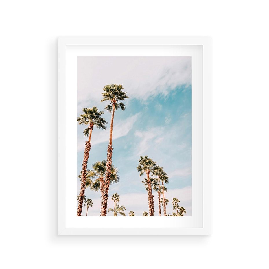 Plakat w ramie 30x40 - Tropikalna Sielskość: Palmy i Błękitne Niebo - palmy na tle błękitnego nieba - rama biała