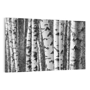 Obraz na płótnie 120x80 - Kontrast Monochromatyczny - brzozy, czarno