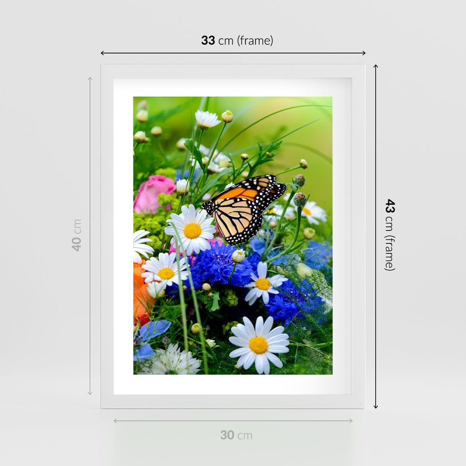 Plakat w ramie 30x40 - Kwiatowy Taniec - motyl, kwiaty - rama biała
