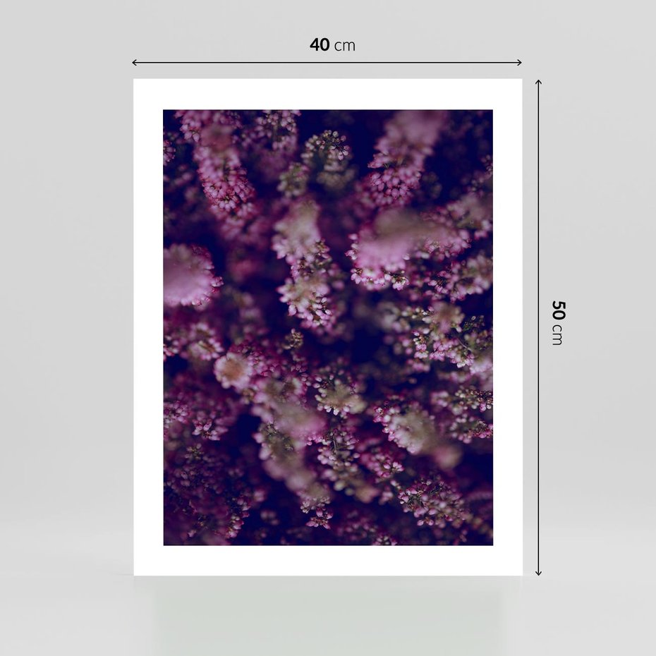 Plakat bez ramy 40x50 - Wrzosowa Delikatność - wrzosy, kwiaty