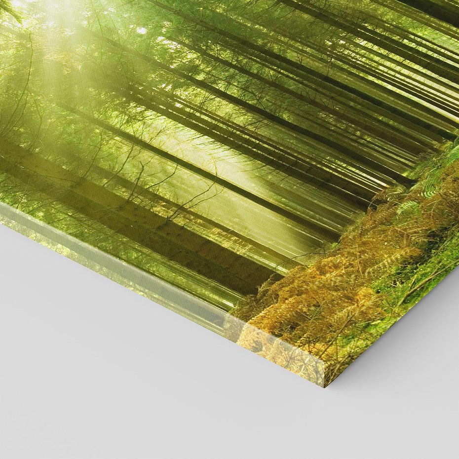 Obraz na płótnie 80x80 - Spokój wśród drzew: las w odcieniach zieleni - las, drzewa