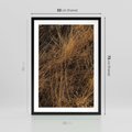 Plakat w ramie 50x70 - Szlachetna Suchość Traw - trawy, suche trawy - rama czarna