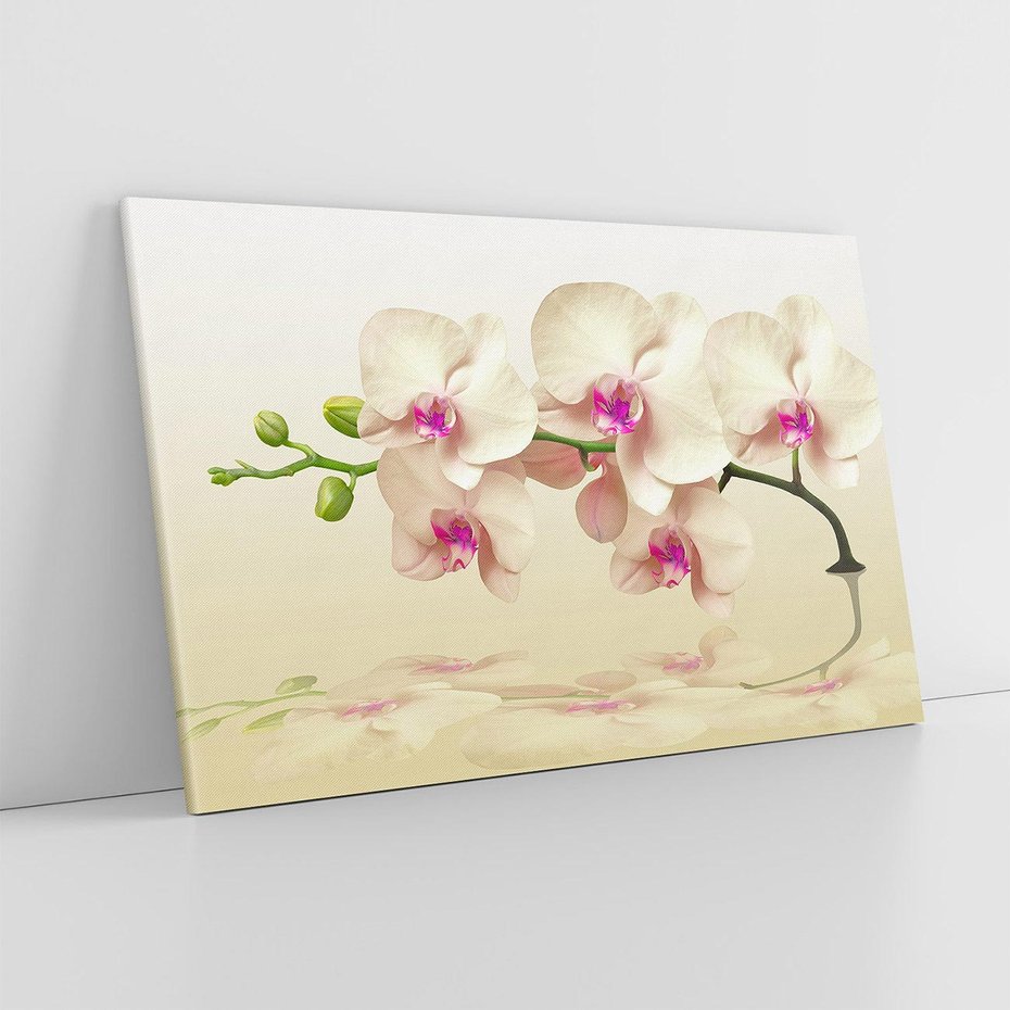 Obraz na płótnie 100x70 - Kwiatowa harmonia w SPA - orchidea, kwiat