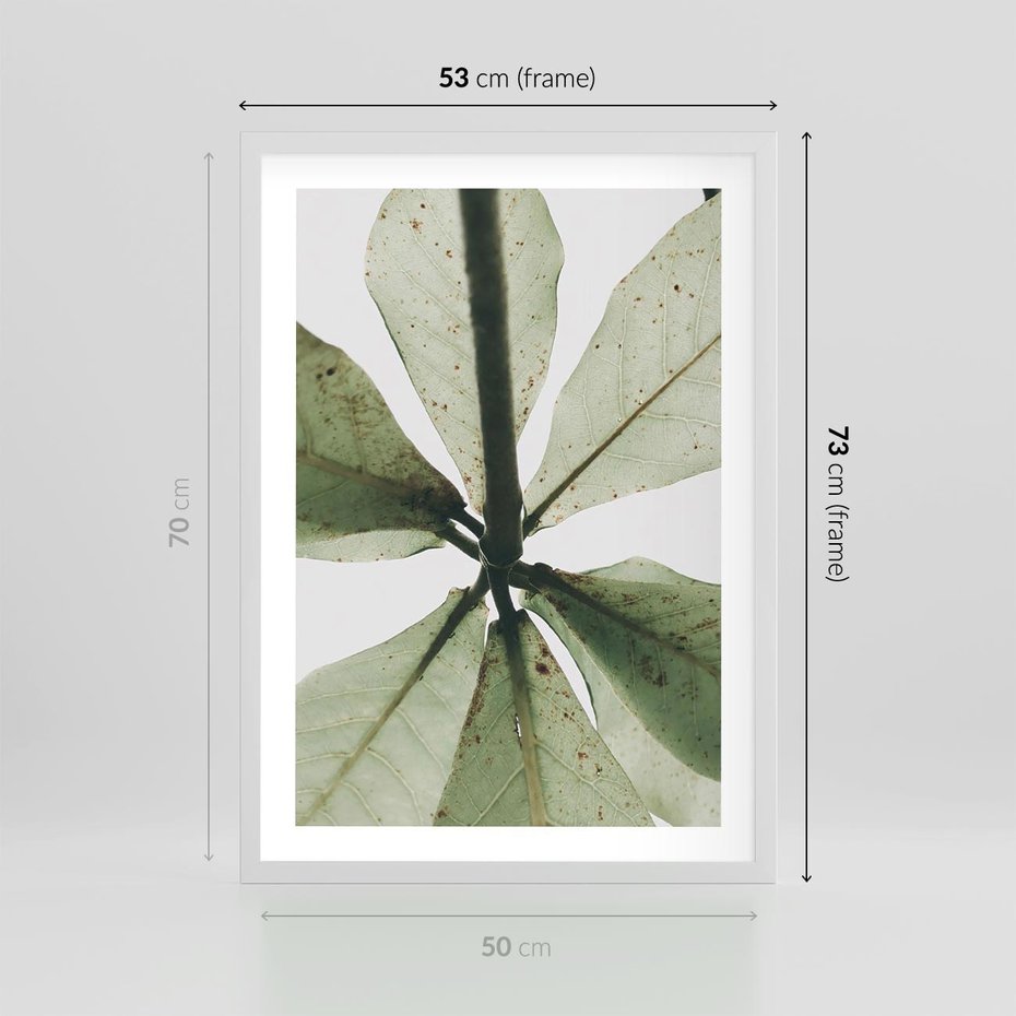 Plakat w ramie 50x70 - Jasna Zieleń w Makro - makro zdjęcie liści, jasna zieleń - rama biała