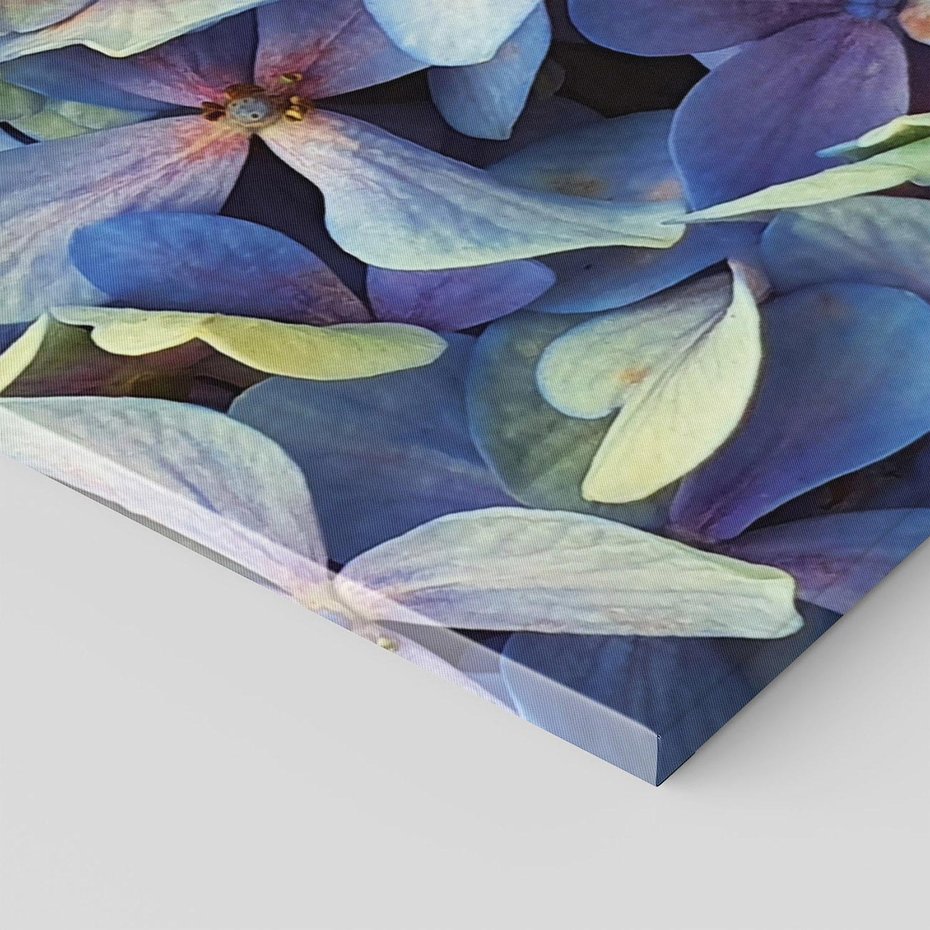 Obraz na płótnie 50x70 - Hortensja - delikatność kwiatów - hortensja, kwiaty