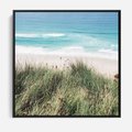 Obraz w ramie 50x50 - Harmonia Natury - widok z wydm, wydmy porośnięte trawami - rama czarna