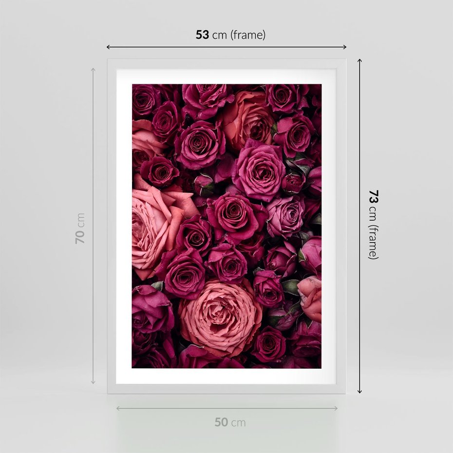 Plakat w ramie 50x70 - Róże - piękno kwiatów - róże, kwiaty - rama biała