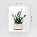 Plakat w ramie 40x50 - Eukaliptusowa harmonia - eukaliptus, liście - rama biała