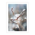 Plakat bez ramy 21x30 - Zimowy Urok Natury - gałązki pod śniegiem, natura