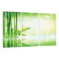 Obraz na płótnie 120x80 - Bambusowy relaks w SPA - bambus, SPA