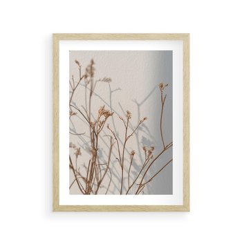 Plakat w ramie 50x70 - Boho gałązki suche - gałązki, suche - rama drewno
