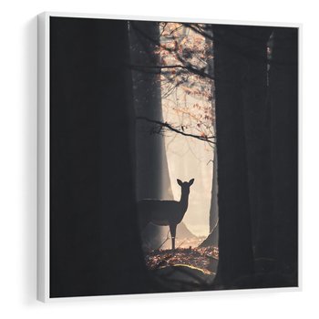 Obraz w ramie 80x80 - Sarnie Skoki - zdjęcie, klimatyczny las - rama biała