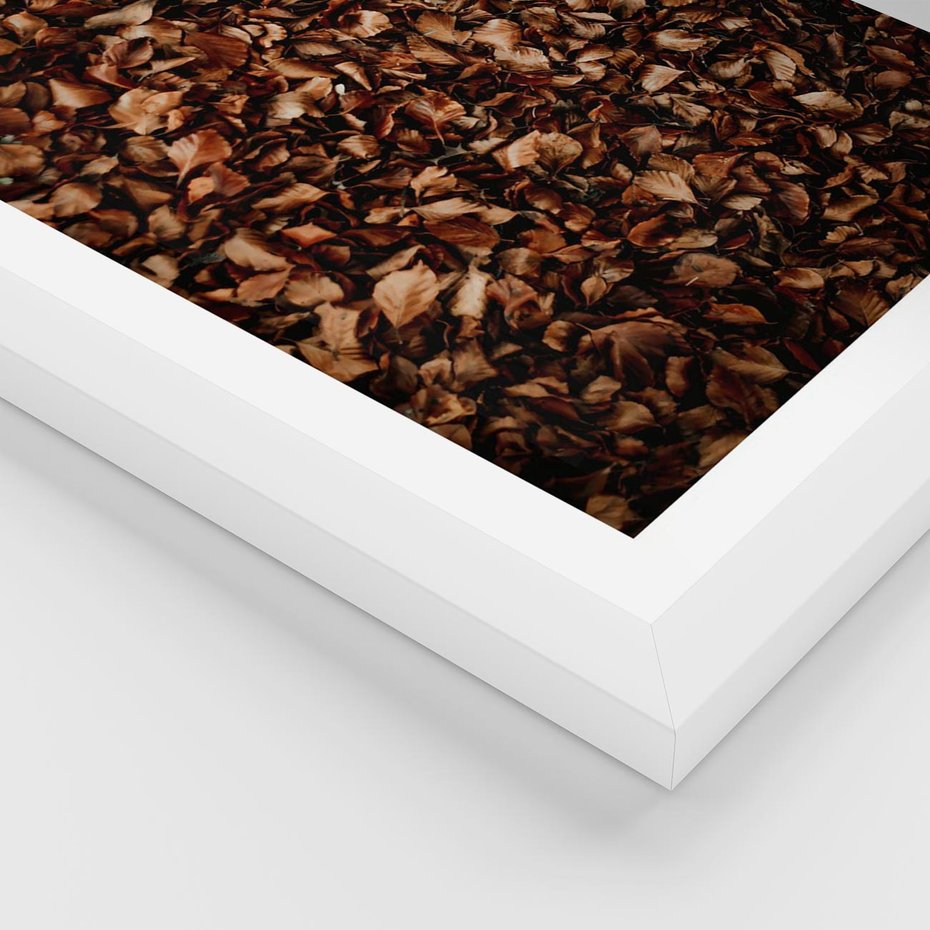 Plakat w ramie 40x50 - Jesienny Dywan - dywan z suchych liści, jesień - rama biała