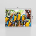 Obraz na płótnie 70x50 - Kolorowa parada papug - papuga, papugi