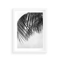 Plakat w ramie 30x40 - Czarno-Biały Kontrast - czarno białe zdjecie, palma - rama biała