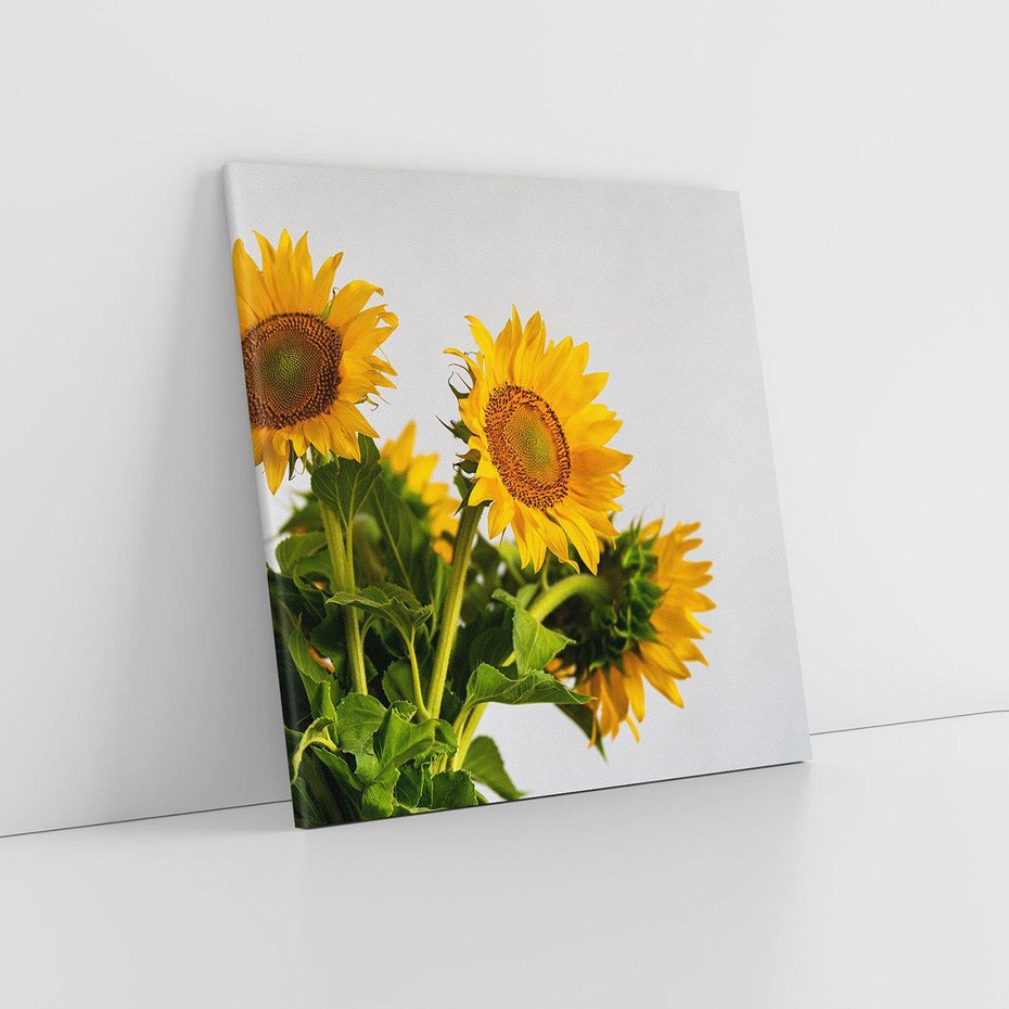 Obraz na płótnie 80x80 - Słoneczna Radość - fotografia, żółte słoneczniki