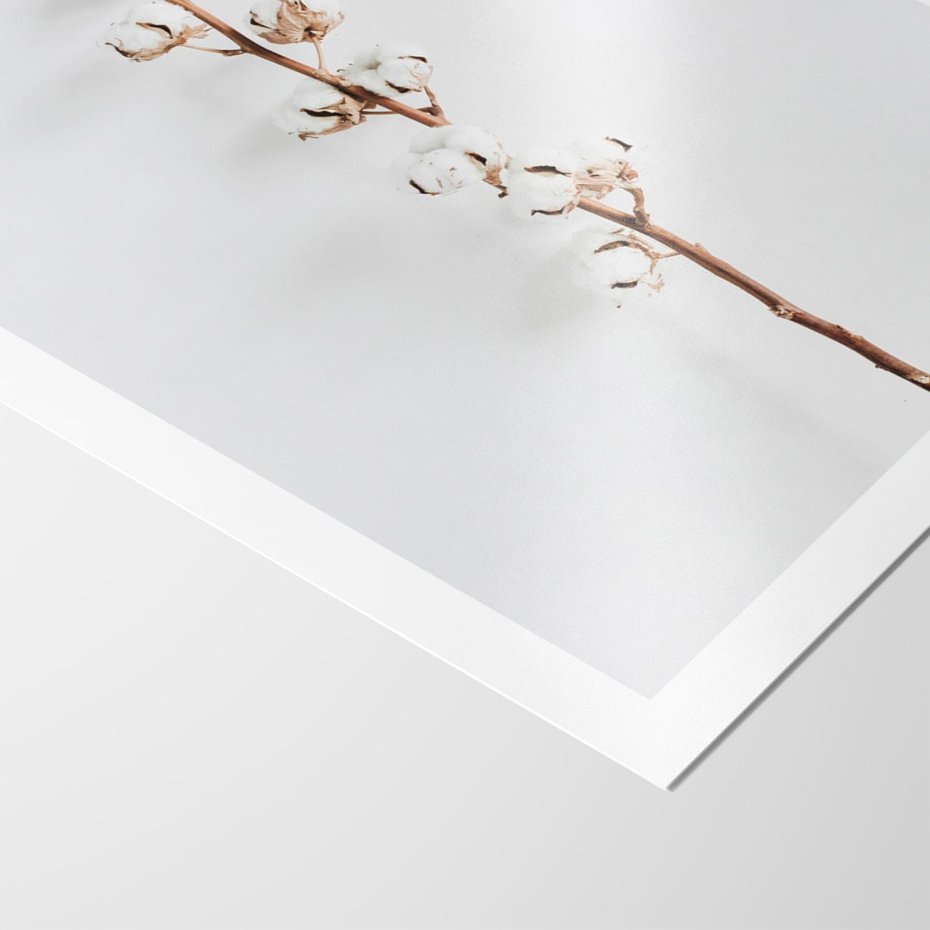 Plakat bez ramy 50x70 - Minimalistyczna Gałązka Bawełny - bawełna, gałązka bawełny
