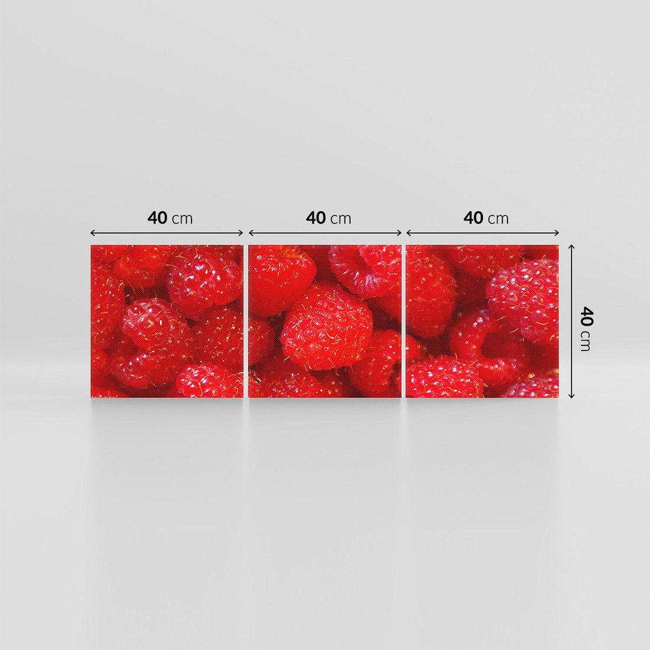 Obraz na płótnie 120x40 - "Maliny - Owocowy Raj - maliny, owoce