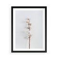 Plakat w ramie 50x70 - Minimalistyczna Gałązka Bawełny - bawełna, gałązka bawełny - rama czarna