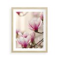 Plakat w ramie 40x50 - Urok Magnolii - magnolie, kwiaty - rama drewno
