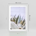 Plakat w ramie 50x70 - Sukulentowe liście - liście, sukulenty - rama biała
