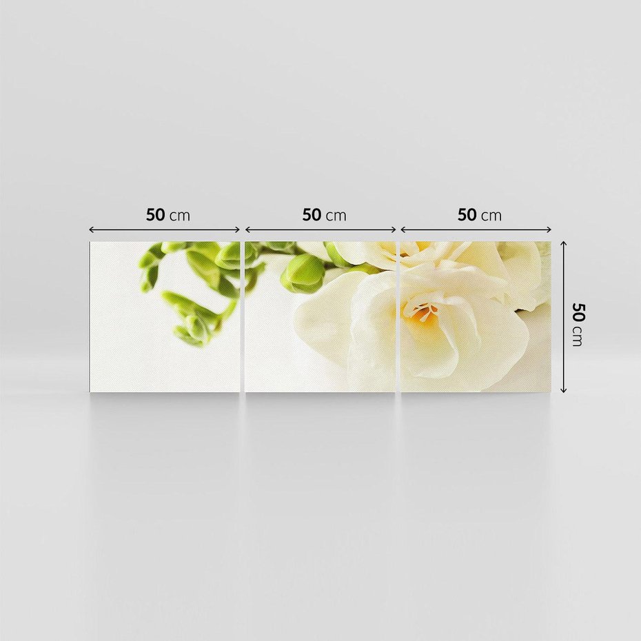 Obraz na płótnie 150x50 - Subtelność białych frezji - frezja, białe