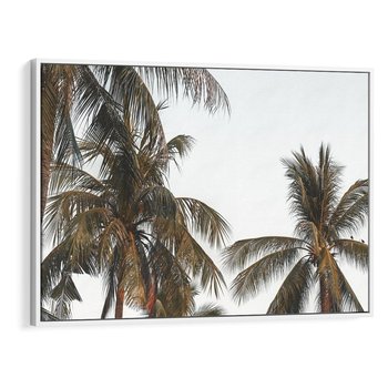 Obraz w ramie 120x80 - Palmy - tęsknota za Hawajami - palmy, Hawaje - rama biała