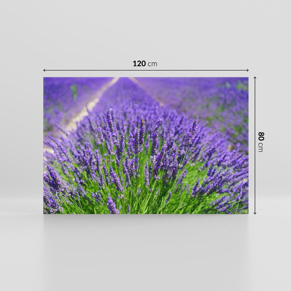 Obraz na płótnie 120x80 - Lawendowe pola piękno natury - lawenda, kwiaty