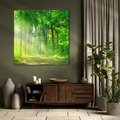 Obraz na płótnie 70x70 - Urok lasu na drodze - las, drzewa