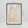 Plakat w ramie 50x70 - Białe Trawy Pampas - suche trawy, białe trawy - rama czarna