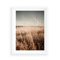 Plakat w ramie 50x70 - Sucha Trawa w Odcieniach Sepii - suche trawy, łąka odcienie beżu - rama biała