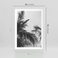 Plakat w ramie 50x70 - Palmy w Monochromii - palmy, tropikalne palmy - rama biała