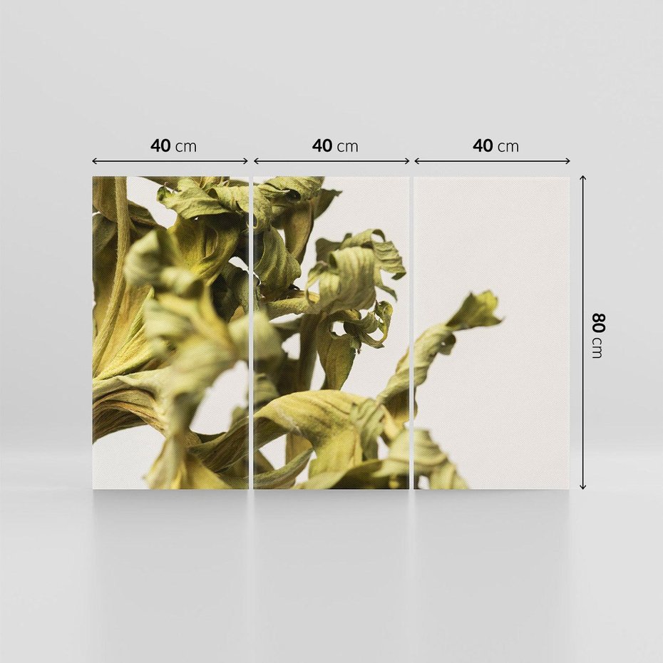 Obraz na płótnie 120x80 - Odejście pory deszczowej - suche, trawy