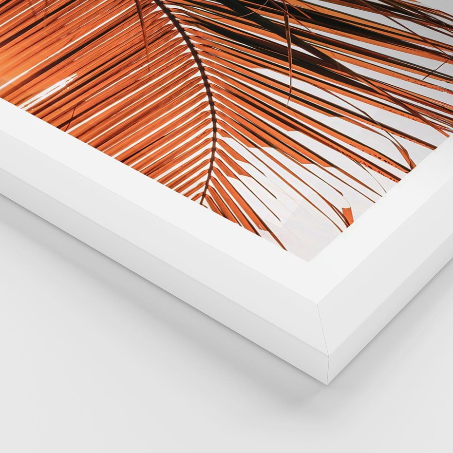 Plakat w ramie 40x50 - Słońce na Palmie - palma, promienie słońca - rama biała