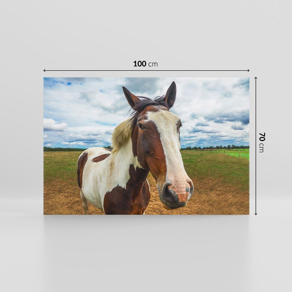 Obraz na płótnie 100x70 - Koń na farmie - koń, konik