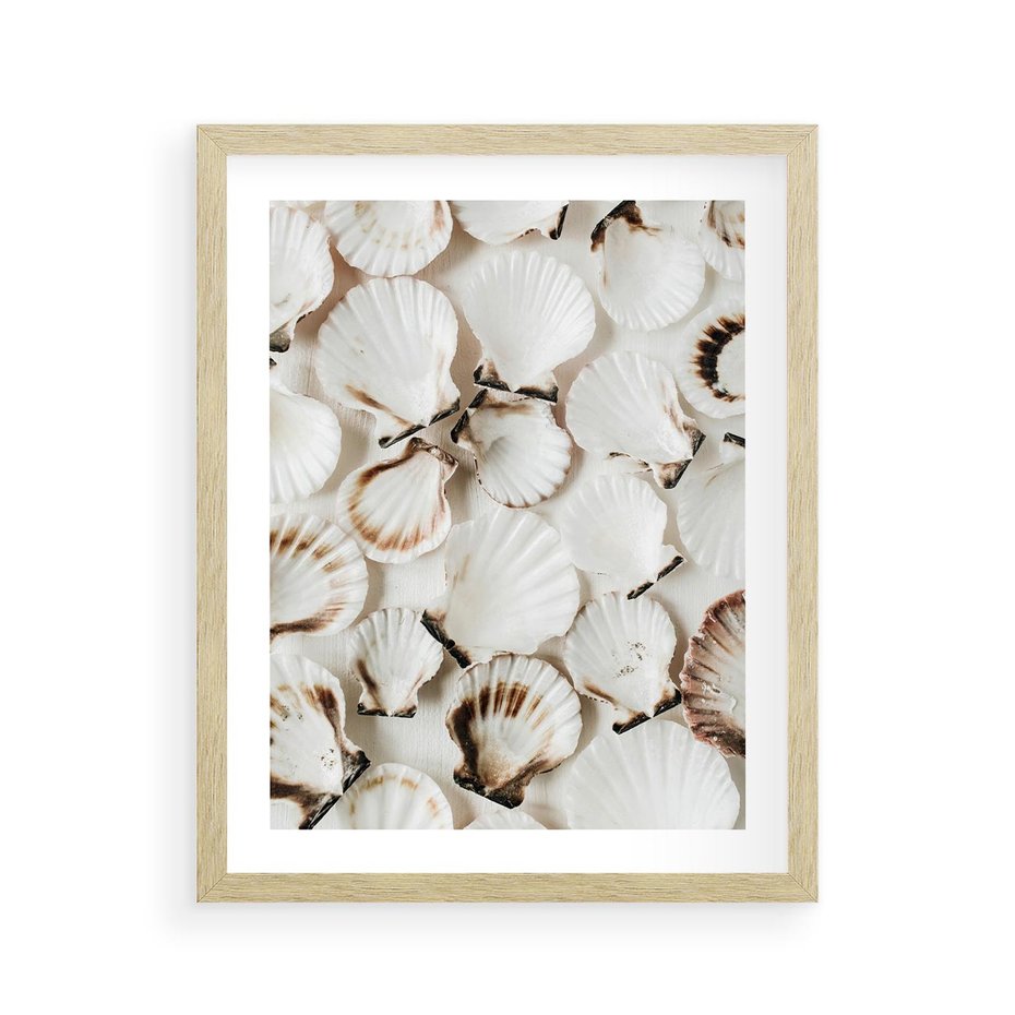 Plakat w ramie 40x50 - Białe Muszle - białe muszle, ujęcie z góry - rama drewno