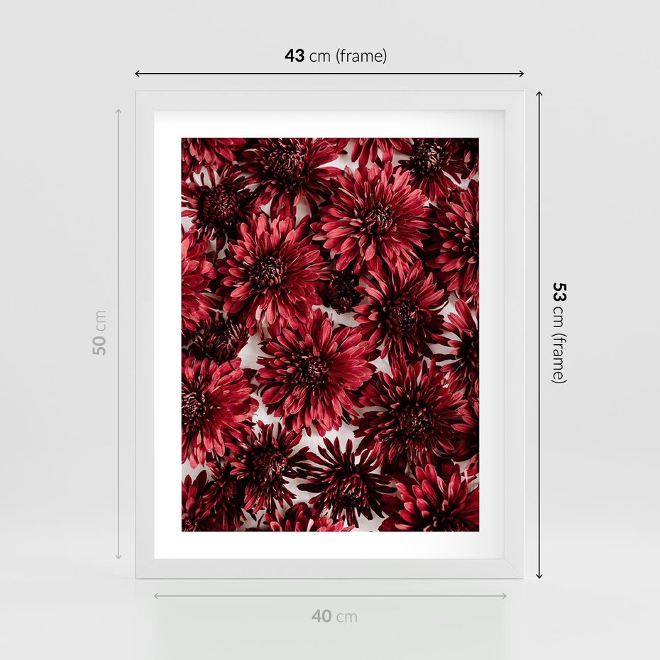 Plakat w ramie 40x50 - Energia Kwiatów - czerwone kwiaty, kompozycja - rama biała